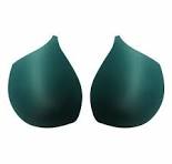 Fish Shape Blouse Cups (Bra Pads)